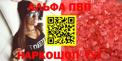 spice Тара