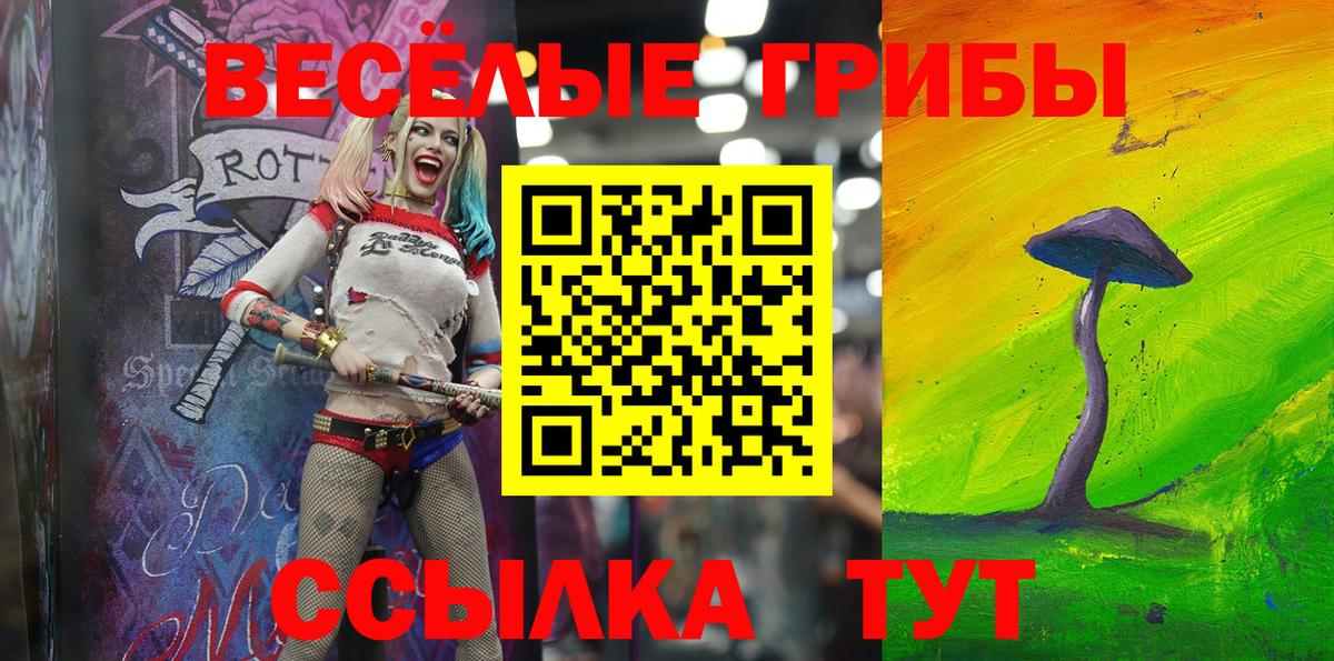 Новочебоксарск  Псилоцибиновые грибы Psilocybine cubensis  Псилоцибиновые грибы Magic Shrooms  Вход с VPN 